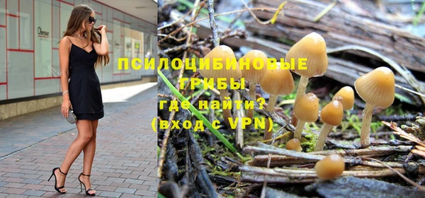 бутират Алексин