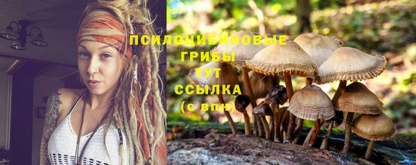 каннабис Абаза