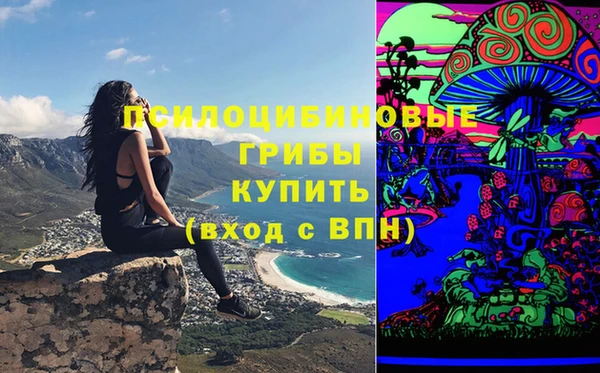мяу мяу мука Абинск