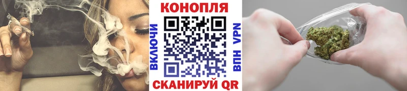 где купить наркоту  Агрыз  Конопля сатива 
